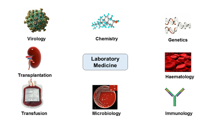 Laboratory medicine